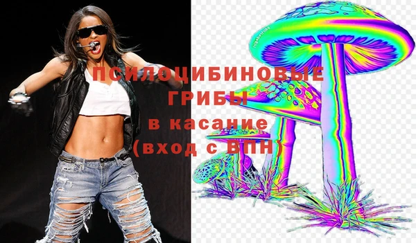 амф Абинск